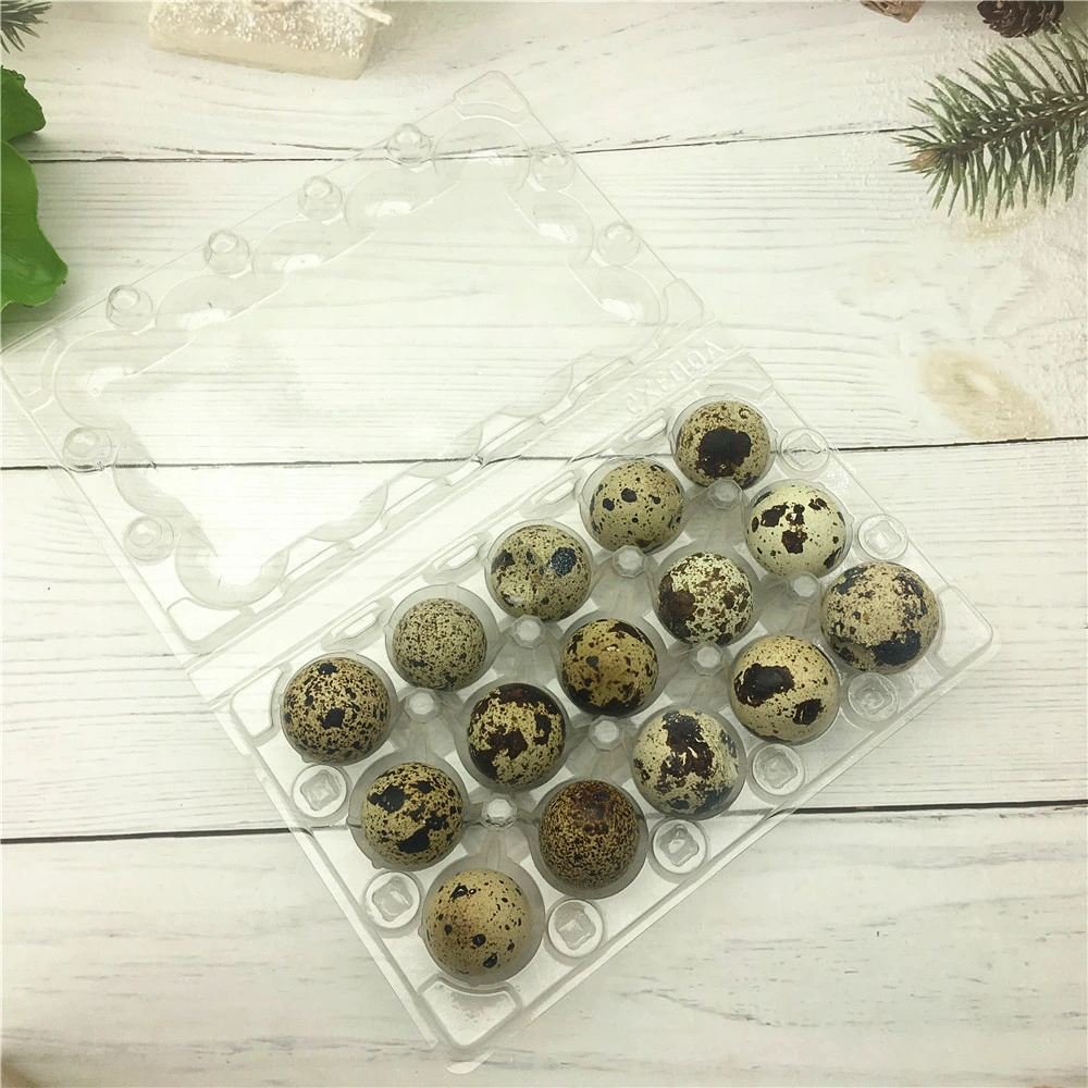 Transparent Blister Plastic Pet 20holes Quail Egg Packaging Tray