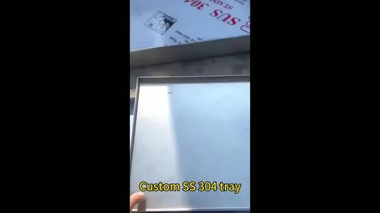 Plateau d'urinoir pour animaux de compagnie en acier inoxydable personnalisé