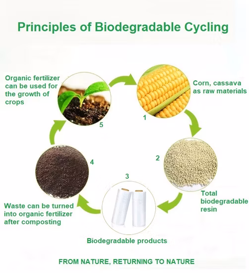 Qualité alimentaire Eco