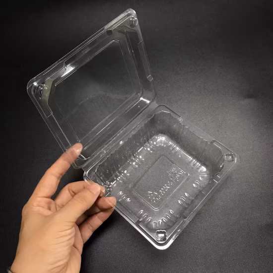 Plateau de fruits transparent rectangulaire en plastique jetable pour animaux de compagnie