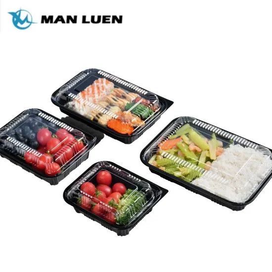 Boîte à lunch rectangulaire à emporter pour emballage en plastique