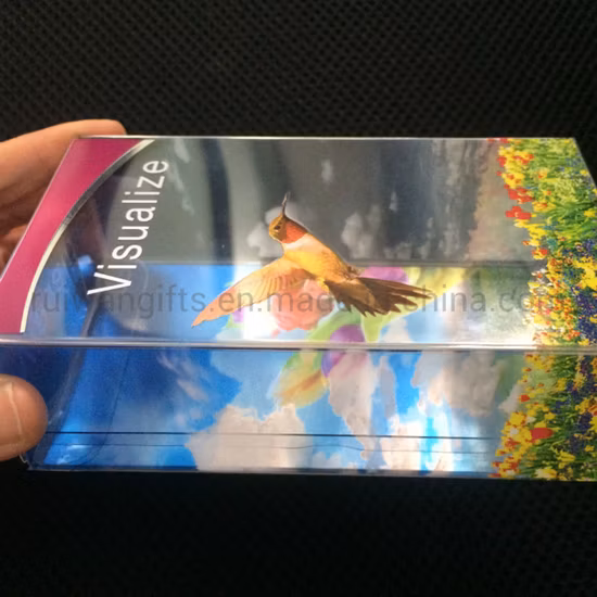 Emballage cadeau pliant boîte en plastique transparente en PVC PP pour animaux de compagnie avec impression